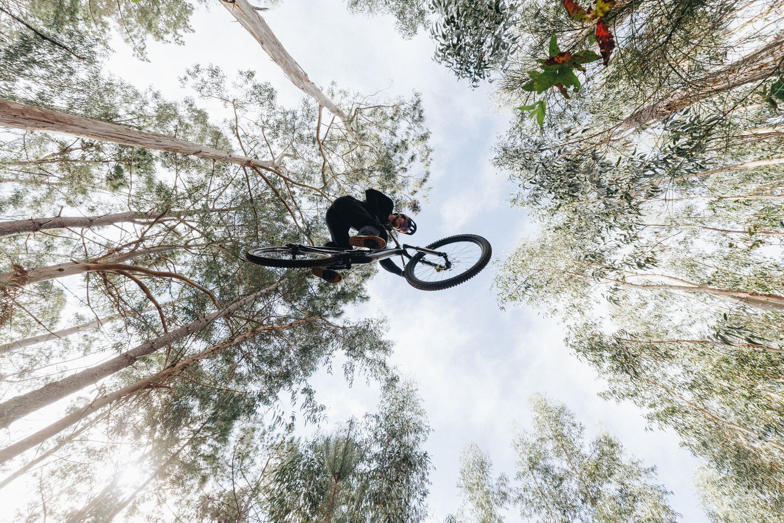 Stumpjumper - изборът на трейл‑ендуро колоездачите